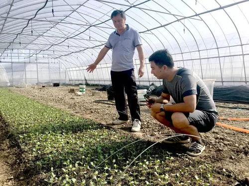 国庆节吃瓜视频,笑料百出，欢乐无限