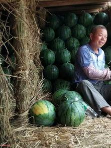 安平最新吃瓜消息曝光视频