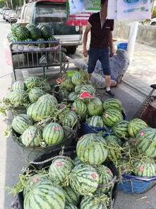 西昌十八渡吃瓜事件视频,一场网络狂欢背后的真相揭秘