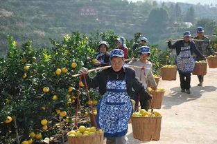 西昌十八渡吃瓜事件视频,一场网络狂欢背后的真相揭秘