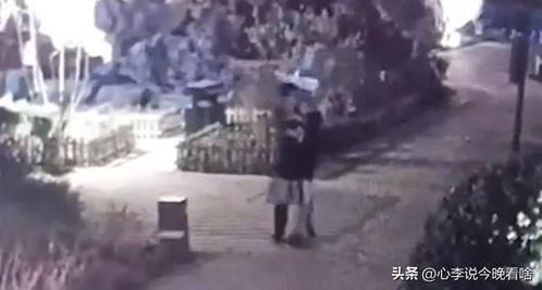 吃瓜爆料视频观看全集完整版,全集内容深度解析