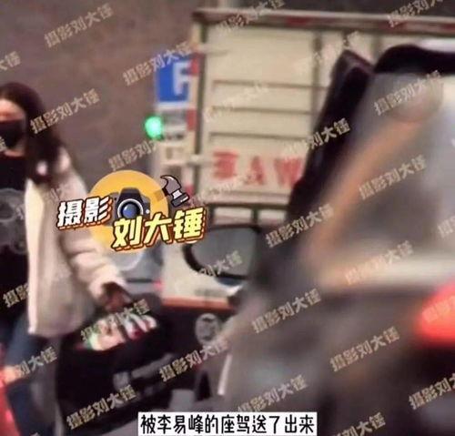 吃瓜爆料视频观看全集完整版,全集内容深度解析