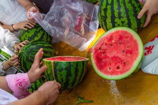 现场视频吃瓜,吃瓜群众的欢乐瞬间