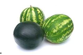 新安吃瓜事件视频大全,视频大全揭秘网络热点背后的真相