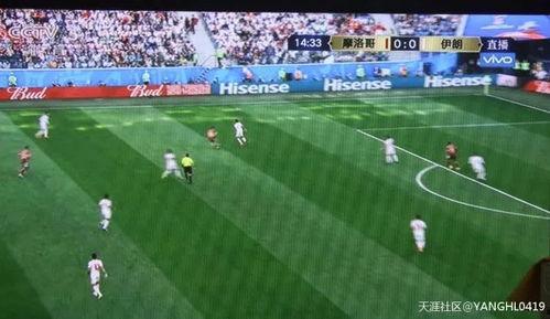 吃瓜群众踢足球视频在线观看,在线观看踢球视频的欢乐时光