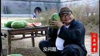 表哥看戏吃瓜视频,揭秘娱乐圈幕后故事