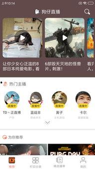 狗仔直播吃瓜视频,吃瓜视频背后的娱乐圈风云