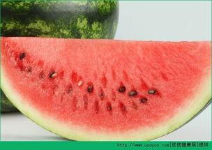 吃瓜长不胖的视频大全,揭秘长不胖的神奇视频大全