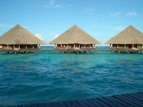 马尔代夫吃瓜群众视频,揭秘当地民众生活百态