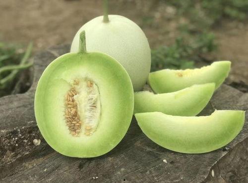 白瓜甜瓜皮可以吃吗视频,食用安全与营养价值大揭秘