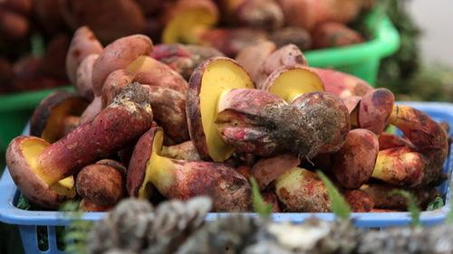 华县吃瓜视频,揭秘当地特色美食背后的故事