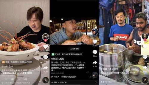 悉尼探店吃瓜视频完整版,跟随视频完整版，解锁当地美食天堂