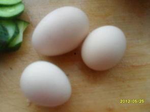 舍利瓜怎么吃才好吃视频,视频教你如何烹饪出最佳口感