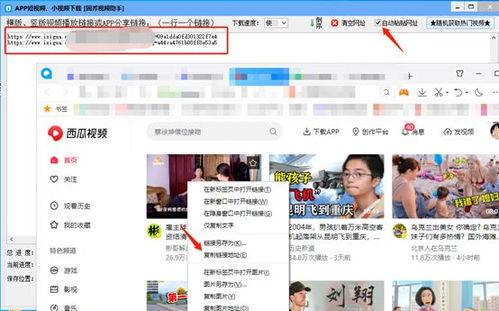 伦敦网红吃瓜视频网站,揭秘都市生活背后的八卦风云