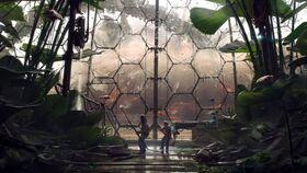 吃瓜视频集合蓝奏云