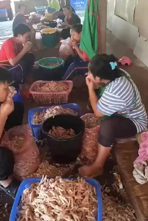 吃瓜吃无骨鸡爪的视频