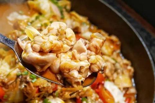 瓜爸吃牛蛙视频大全下载,视频大全下载攻略