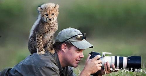 猎豹队吃瓜了视频,揭秘幕后故事与精彩瞬间