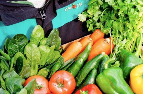 吃瓜叮咚买菜视频大全播放,趣味购物瞬间，尽享生活乐趣