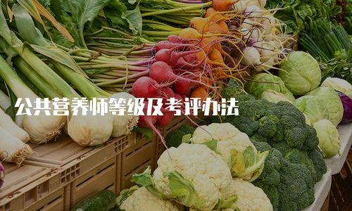 吃瓜叮咚买菜视频大全播放,趣味购物瞬间，尽享生活乐趣