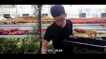 浙江安吉吃瓜事件视频,一场网络热议的乡村奇观