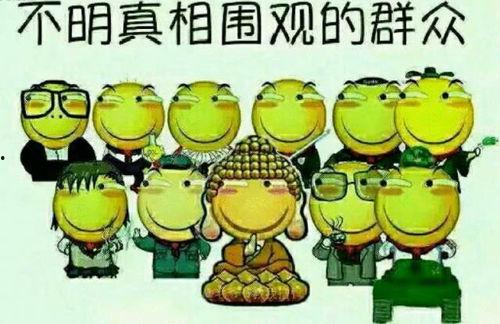 吃瓜群众小红帽视频全集,揭秘视频全集背后的故事与笑料