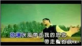 改编歌曲吃瓜赏花视频大全,热门改编歌曲视频集锦