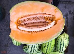 马哥吃哈密瓜视频,一场视觉与味蕾的双重享受