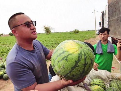 2022吃瓜汇总视频,盘点那些让人笑掉大牙的娱乐圈风云