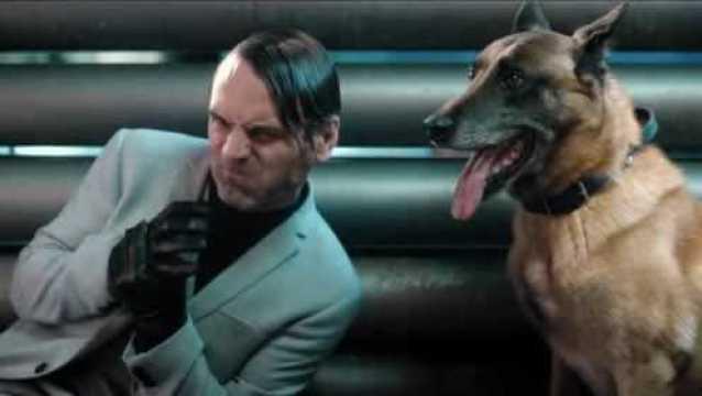 反派小狗吃瓜视频大全,盘点那些搞笑又心酸的瞬间