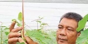 刘南宅二楼吃瓜视频,揭秘娱乐圈幕后故事