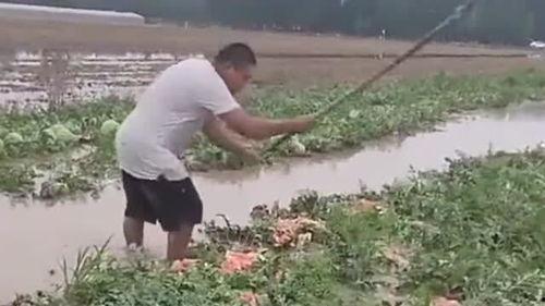 泡泡吃瓜怎么看不了视频,揭秘无法观看视频的神秘原因