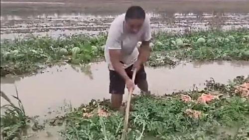 泡泡吃瓜怎么看不了视频,揭秘无法观看视频的神秘原因