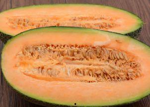 吃哈密瓜的傻瓜视频下载,视频下载见证欢乐时光