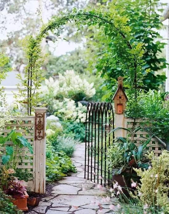 乡下小院吃瓜视频大全播放,小院吃瓜视频大全，夏日清凉一夏