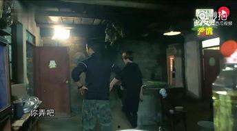 吵架视频吃瓜是真的吗,网络舆论下的真相追寻