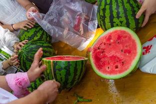 河南技校吃瓜视频,揭秘校园生活幕后真相